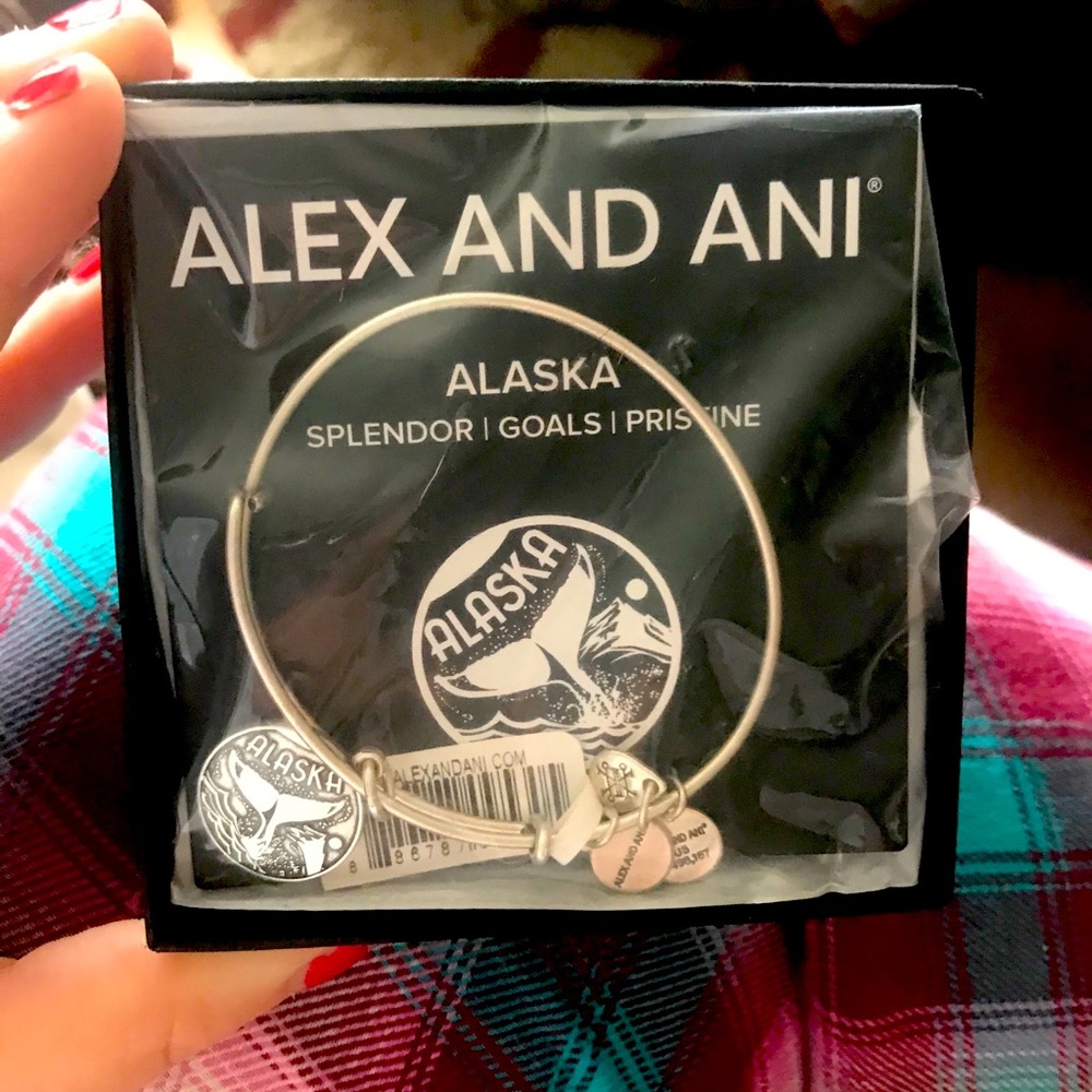 Alex and ani Alaska charm bracelet